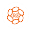 R3 Stem Cell logo