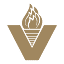 Victory Men's Health logo
